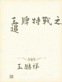 王牌特战之军少追