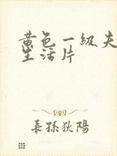 黄色一级夫妻性生活片