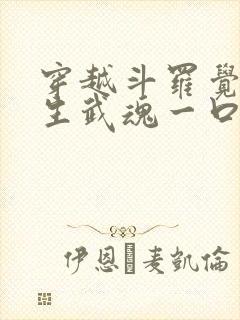 穿越斗罗觉醒十生武魂一口气看完