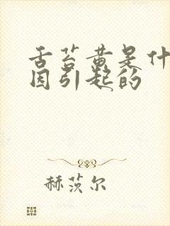 舌苔黄是什么原因引起的封面