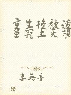 重生后被渣男舅舅宠上天视频封面