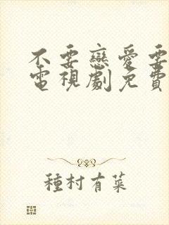 不要恋爱要结婚电视剧免费观看封面