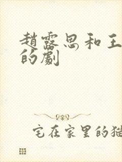 赵露思和王鹤棣的剧