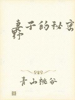 妻子的秘密波多野