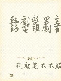 韩剧双男主cp的电视剧有哪些封面