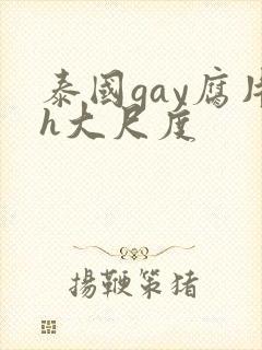 泰国gay腐片h大尺度封面