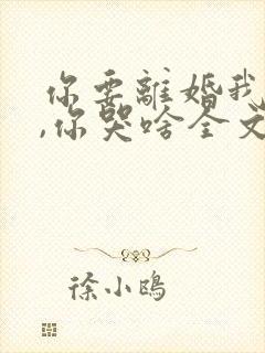 你要离婚我同意,你哭啥全文在线阅读