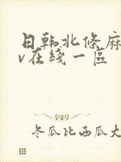 日韩北条麻妃av在线一区封面