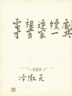 电视连续剧有你才有家一共多少集