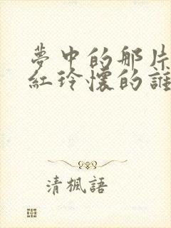 梦中的那片海贺红玲怀的谁的孩子