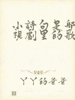 小诗句是哪个电视剧里的歌封面