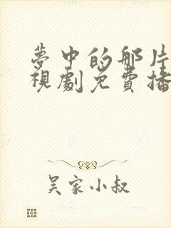 梦中的那片海电视剧免费播放封面