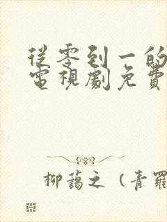 从零到一的爱情电视剧免费观看