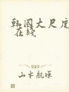 韩国大尺度电影 在线