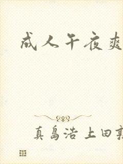 成人午夜爽片