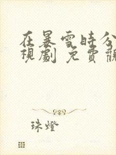 在暴雪时分 电视剧 免费观看