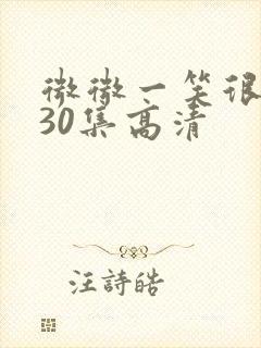 微微一笑很倾城30集高清