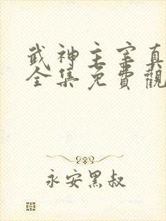 武神主宰真人版全集免费观看封面