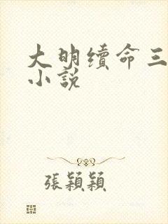 大明续命三百年小说