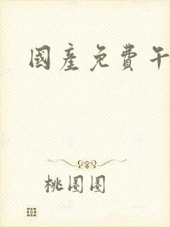 国产免费午夜片