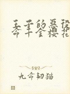 王子的恶役是本命千金樱花动漫封面