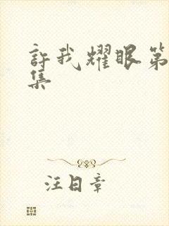 许我耀眼第十六集