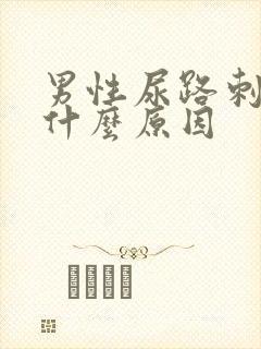 男性尿路刺疼是什么原因