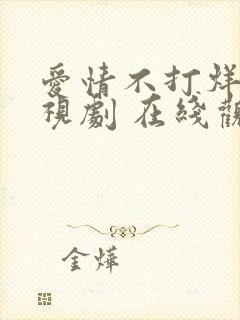 爱情不打烊 电视剧 在线观看