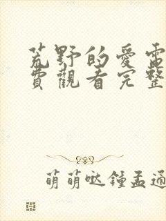 荒野的爱电影免费观看完整版