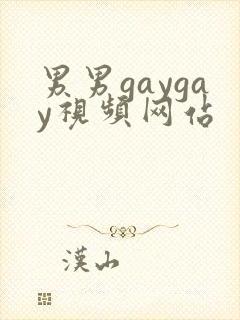 男男gaygay视频网站