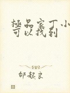 极品家丁小说哪可以找到