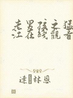 老男孩之猛龙过江在线观看高清完整版