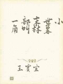 一部末世小说主角叫林暮