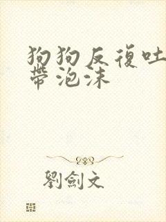 狗狗反复吐黄水带泡沫封面