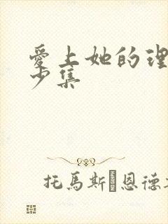 爱上她的理由多少集封面