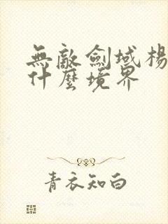 无敌剑域杨无敌什么境界