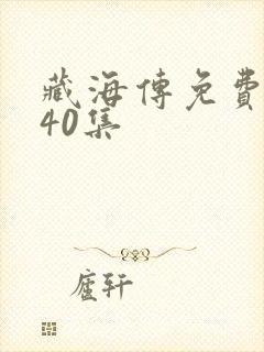 藏海传免费观看40集