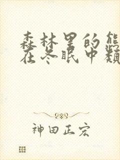 森林里的熊先生在冬眠中类似