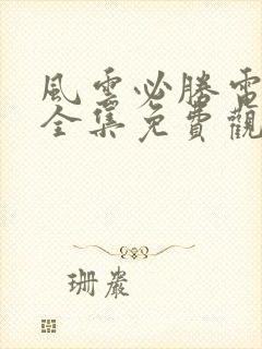 风云必胜电视剧全集免费观看封面