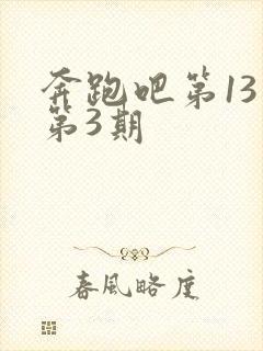 奔跑吧第13季第3期