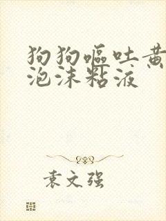 狗狗呕吐黄色的泡沫粘液