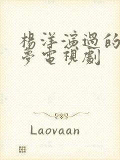 杨洋演过的红楼梦电视剧