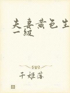 夫妻黄色生活片一级