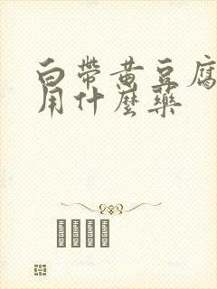 白带黄豆腐渣状用什么药