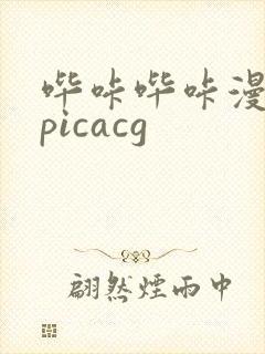 哔咔哔咔漫画 picacg