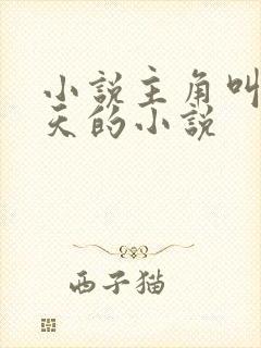 小说主角叫叶凌天的小说