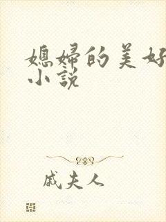 媳妇的美好时代小说封面