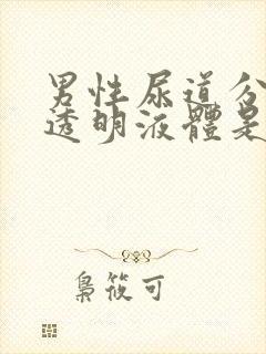 男性尿道分泌出透明液体是什么