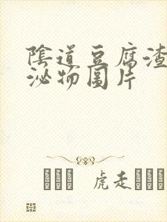 阴道豆腐渣样分泌物图片