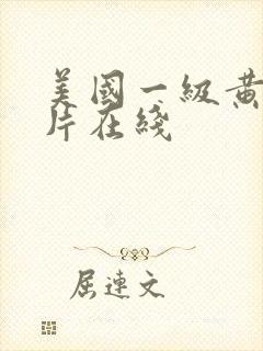 美国一级黄色大片在线封面